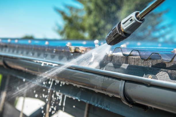 Best Roof Pressure Washing  in Auburn, IL