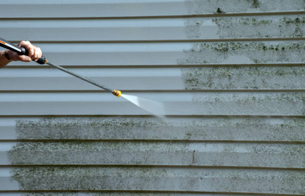 Best Sidewalk Pressure Washing  in Auburn, IL