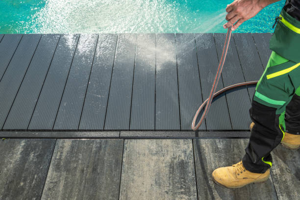 Best Fence Pressure Washing  in Auburn, IL