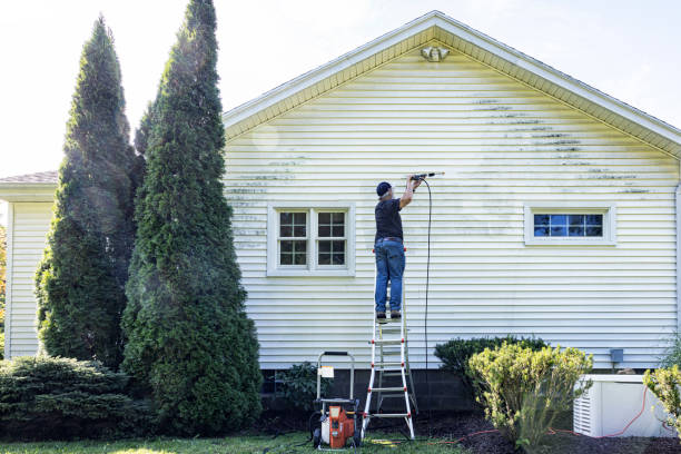 Professional Pressure Washing in Auburn, IL