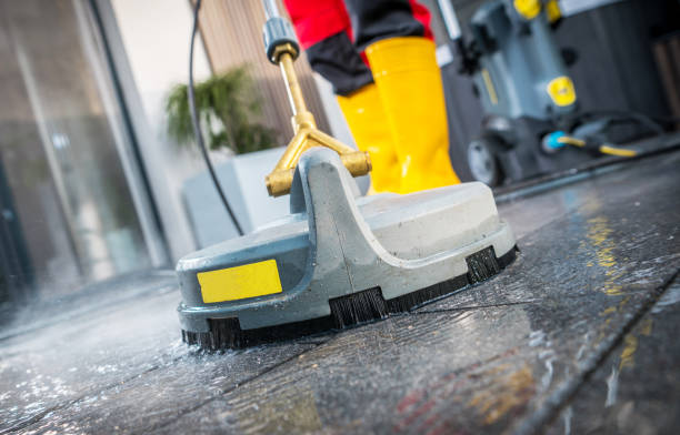 Best Pressure Washing Services Near Me  in Auburn, IL