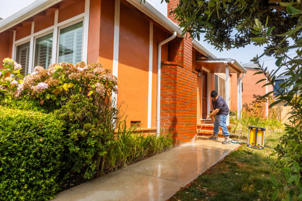 Best Best Pressure Washing Companies  in Auburn, IL