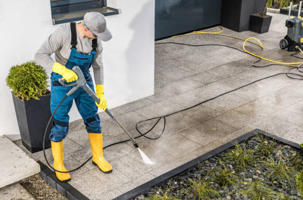 Best Garage Pressure Washing  in Auburn, IL