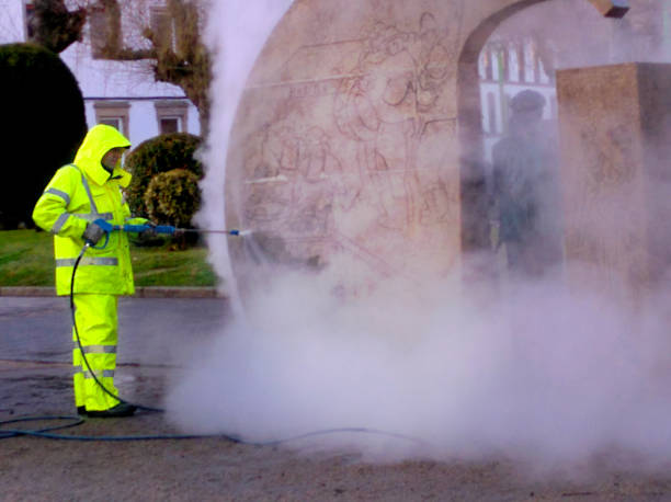 Best Concrete Pressure Washing  in Auburn, IL
