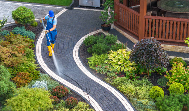 Best Power Washing Near Me  in Auburn, IL