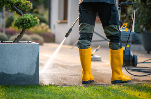 Best Pressure Washing Near Me  in Auburn, IL
